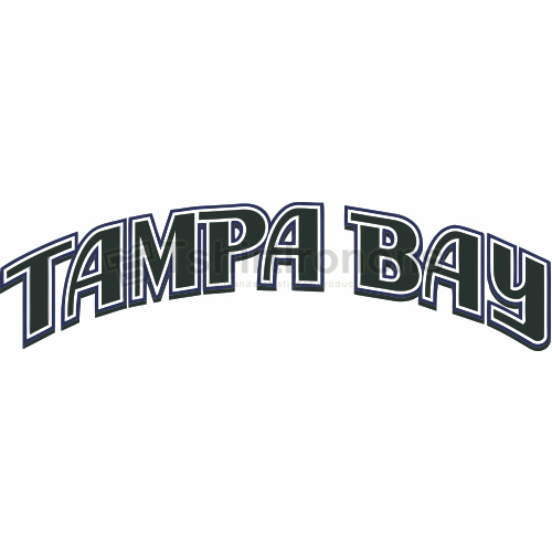 Tampa Bay Rays T-shirts Iron On Transfers N1953